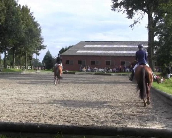 Video de Freddy Frinton 2