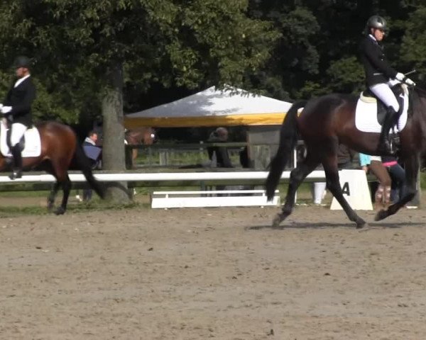 Video of Sandmann B 3, San Benedetto Z