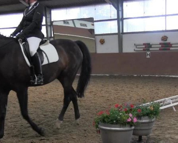 Video of Remember 116, Rylana 2, Sinfonie 184