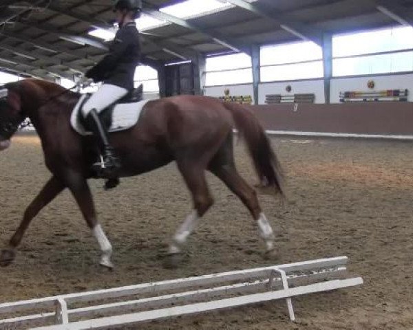 Video of Paraiba 4, Meggy 28, Mandy M