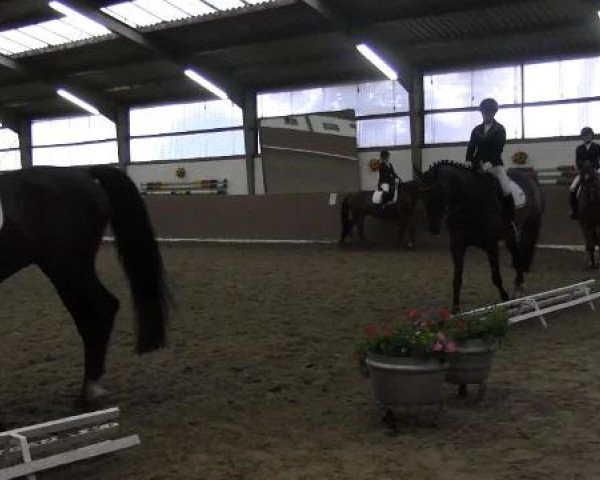 Video di De la Fleur 2, Darius H, Crumble 2
