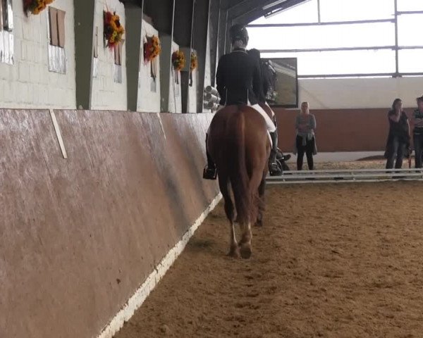 Video of TopCanero, Quotidien