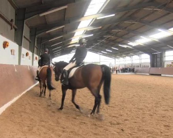 Video von Amicus 36, Adrejo, Dornröschen 265