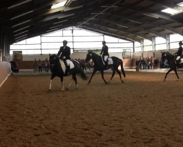 Video of Daily Peppermint, Contessa Chalina