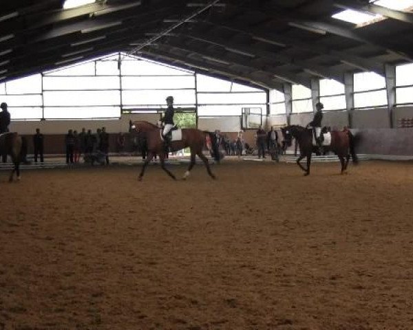 Video of Anouk, Sandro Royal 2, Anytime 10
