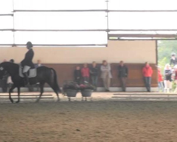 Video von Twister Filou