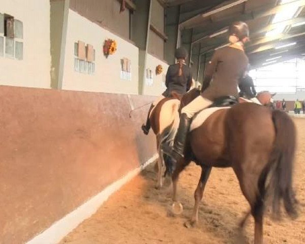 Video di Nessaya, Rose and Beauty, Rocky
