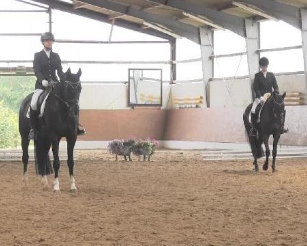 Video of Penelope 311