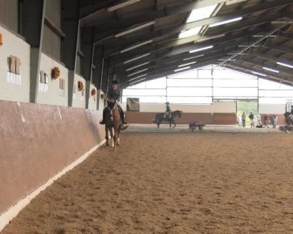 Video of Frieda kann alles