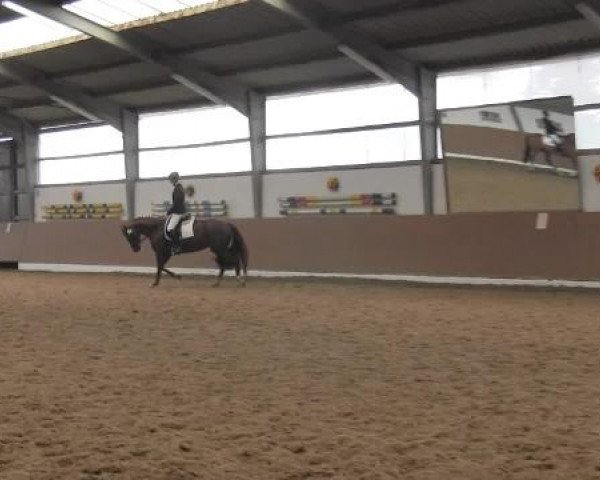 Video of Domanio R