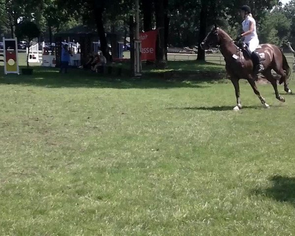 Video of Chairman 25