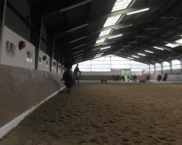 Video of Finito L'Amore