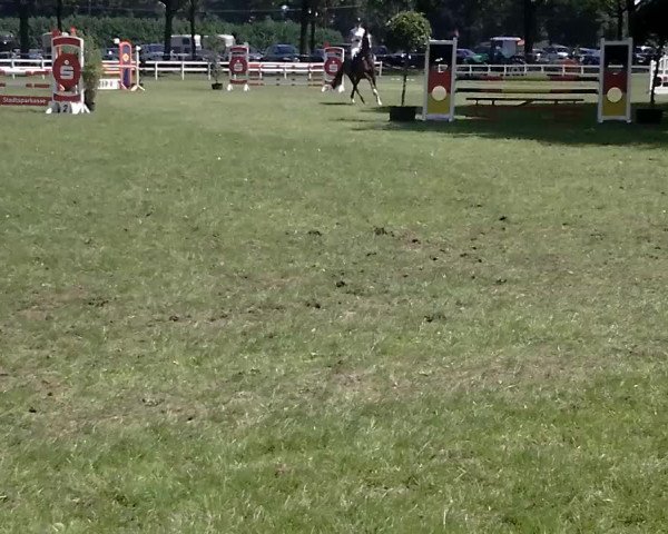 Video of Chairman 25