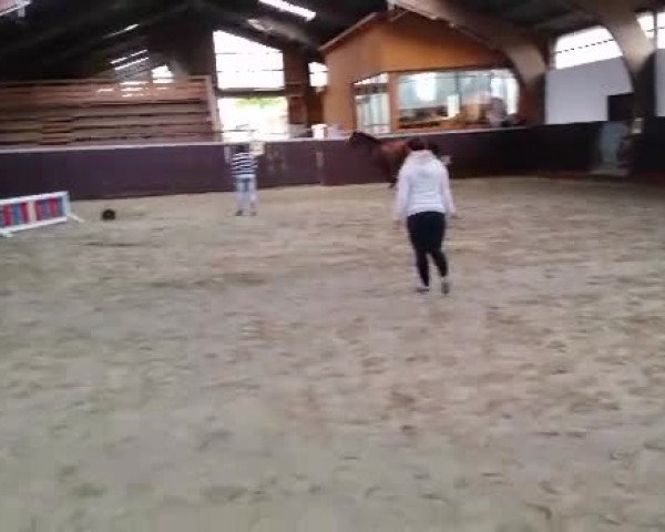 Video of Dàdiva de Vida
