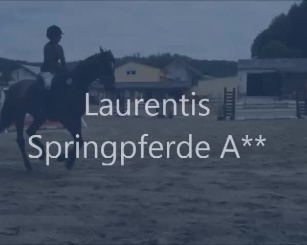 Video von Laurentis 2