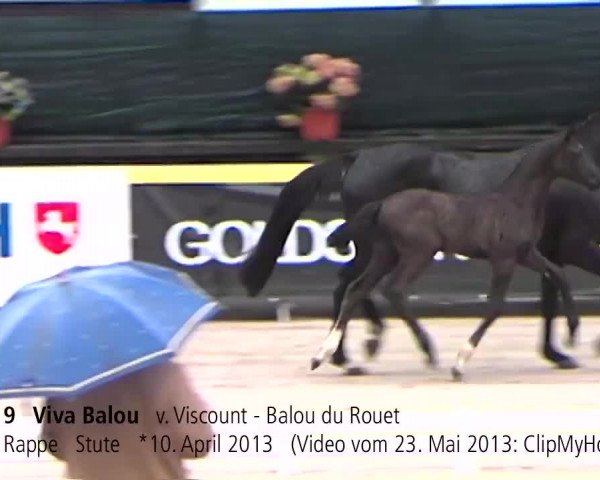 Video von Viva Balou