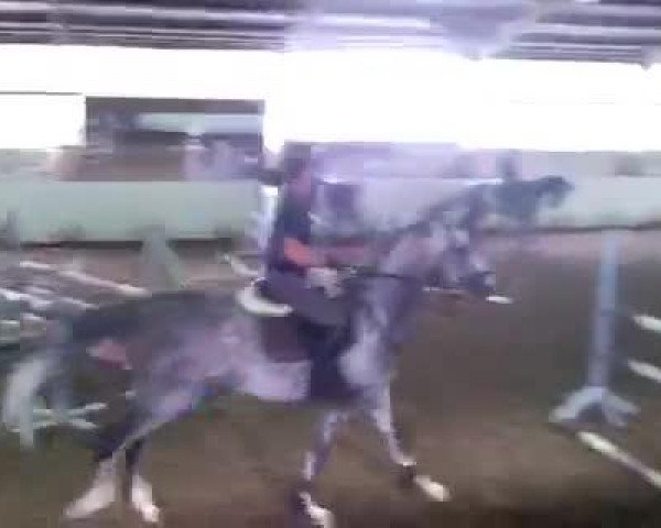 Video von Chuccaccino