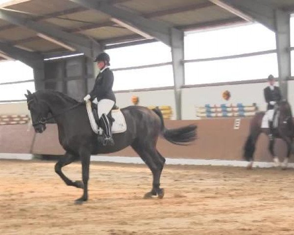 Video of Don Carismo FRH