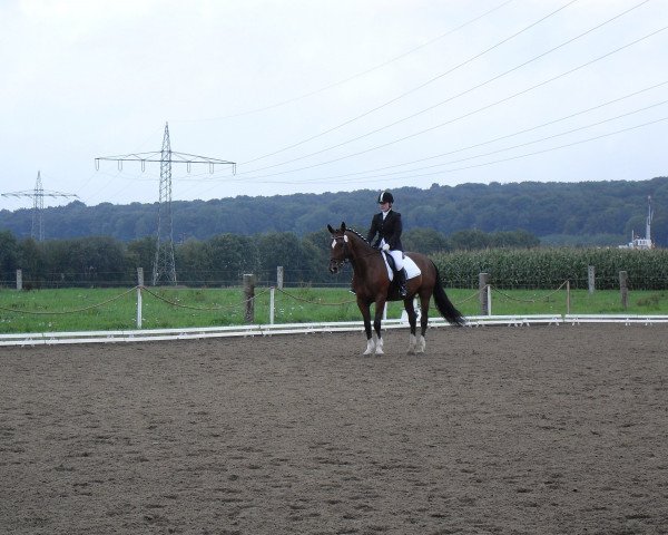 horse Primeur 51 (Westphalian, 1992, from Piquet)