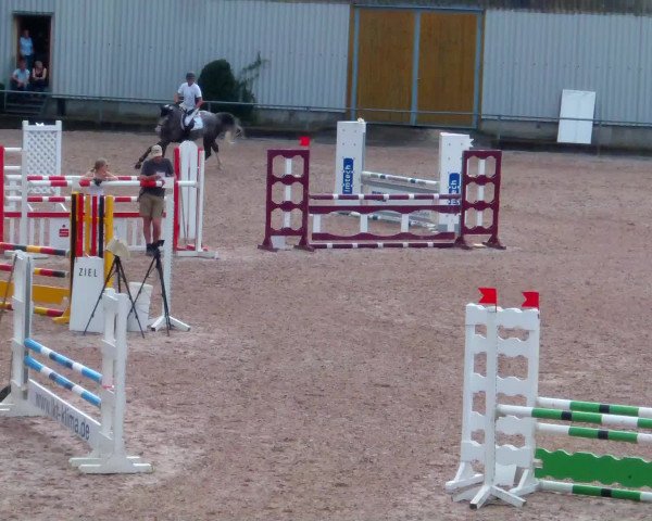 Video of Cassino 18