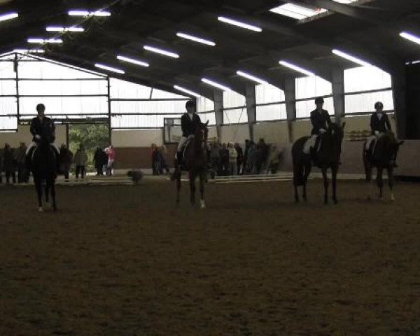Video of Sunrise Dancer, Willi Wonka 6, Wicked Dreams