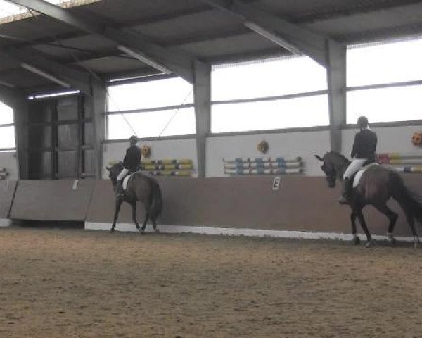 Video of Finito L'Amore