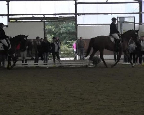 Datteln 2014