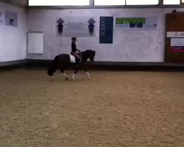 Video of Der Feine Henry