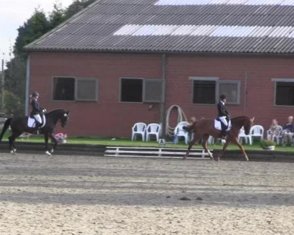 Video of Sterntaler A
