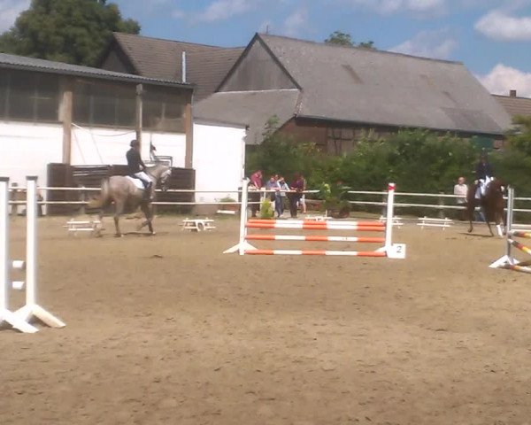 Video of Fürst Faramir 2