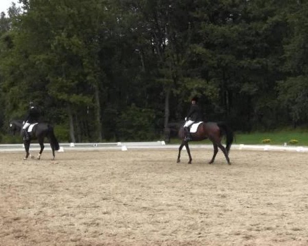 Video von Sambuca B