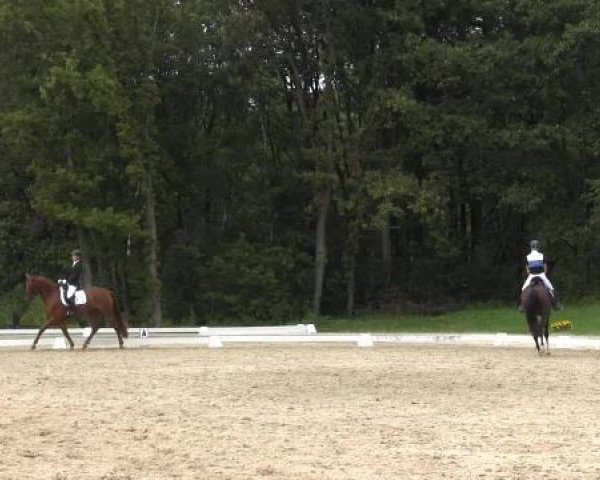 Video of Sterntaler A