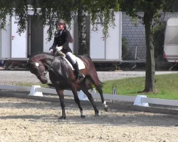 Video of Fresh Forward