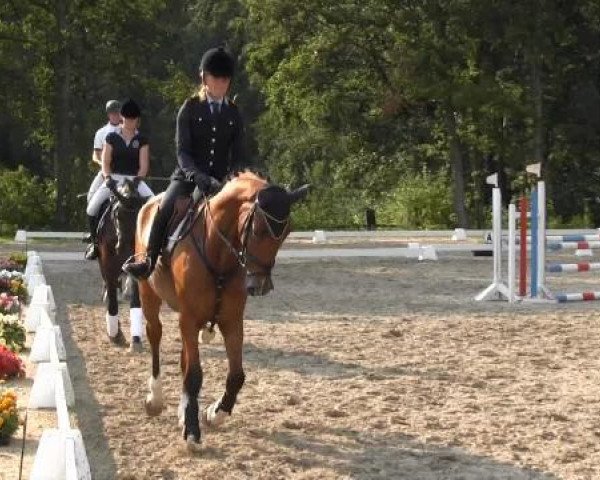 Video of Michel 233, Carlotta 248