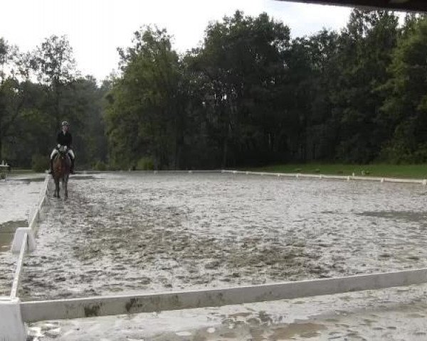 Video of Flotte Henne
