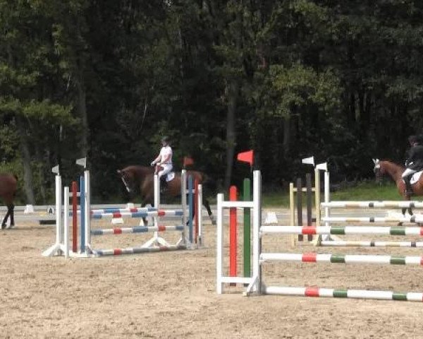 Video of Coco Chanel 114, Cosmo B
