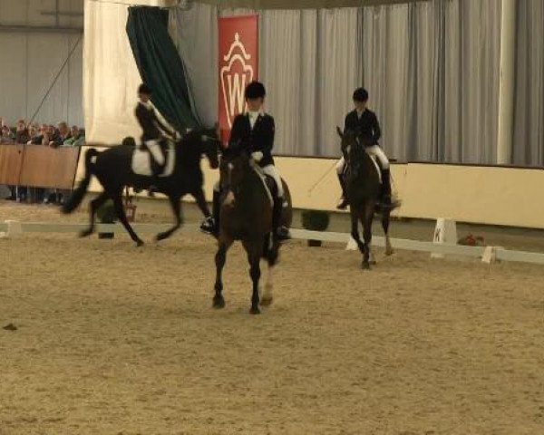 Video of FRH Butts Abraxxas, Lightning Ball