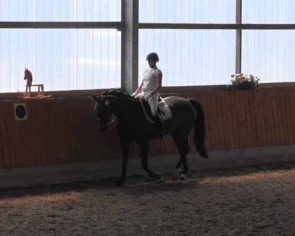 Großes Reit- und Springturnier Herbern 2014 20.07.2014, Prüfung 19 Dressurprüfung Kl. L - Kandarre