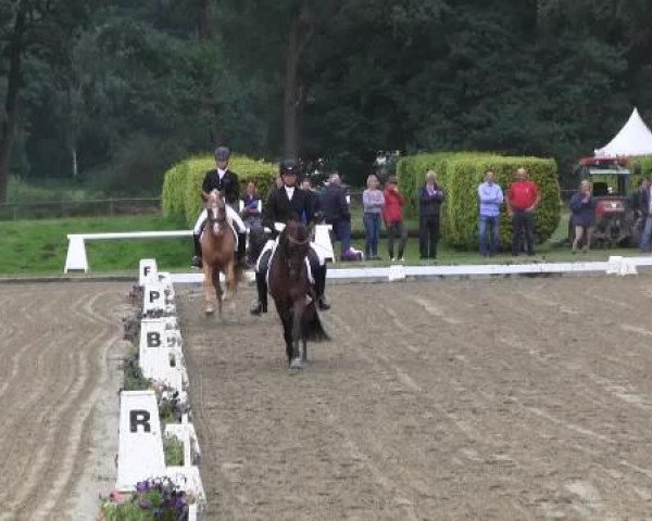 Video von Delmonte