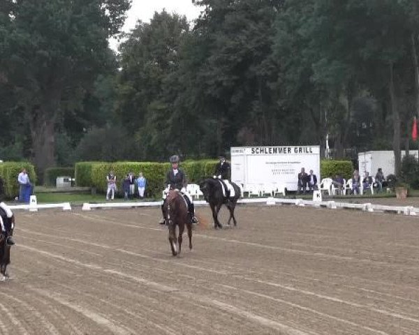 Video von D-Day AT, Donovan 119