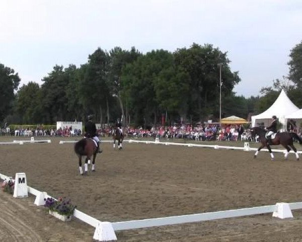 Video of Lexus 66, Loving Cup 3, Crescendo 46