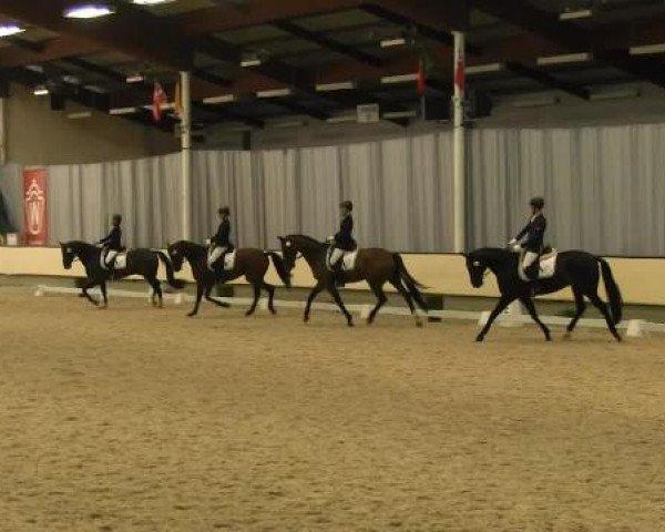 Video of Darc Piccolo, Sueno de Bailarina, Rockland 4