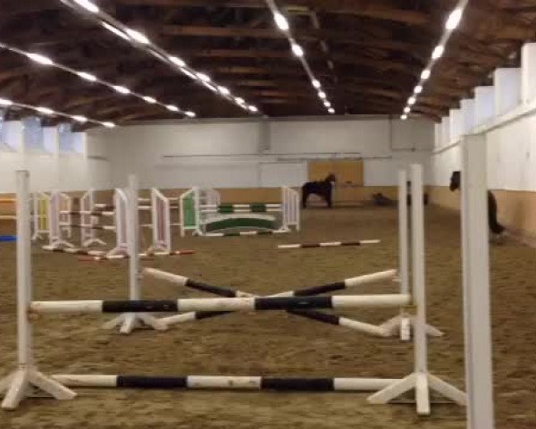 Video von Frodo