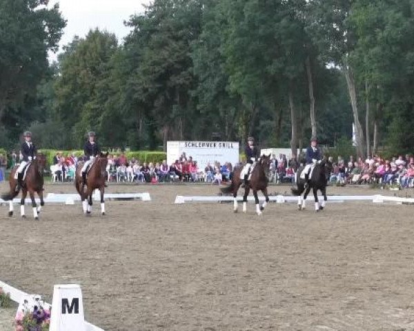Video of Darc Piccolo, Rocaletto S, Sueno de Bailarina