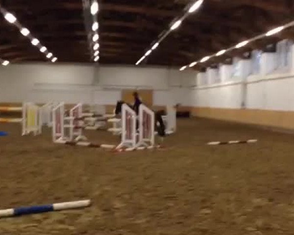 Video von Frodo