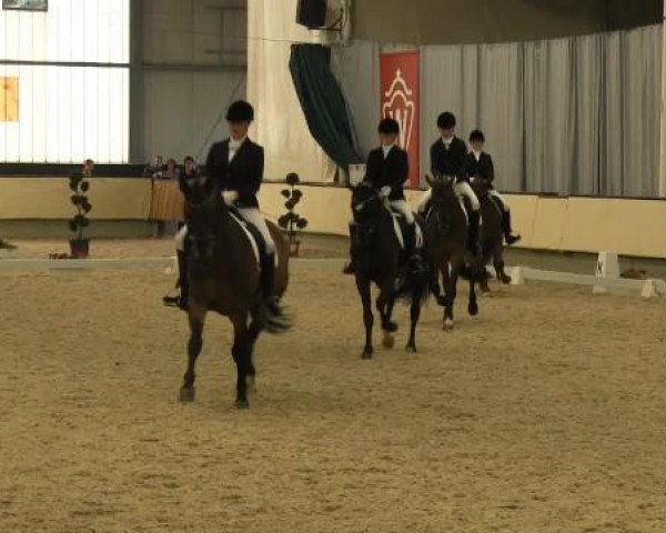 Video of Feiner August, Christobal 21, van Helsing 15