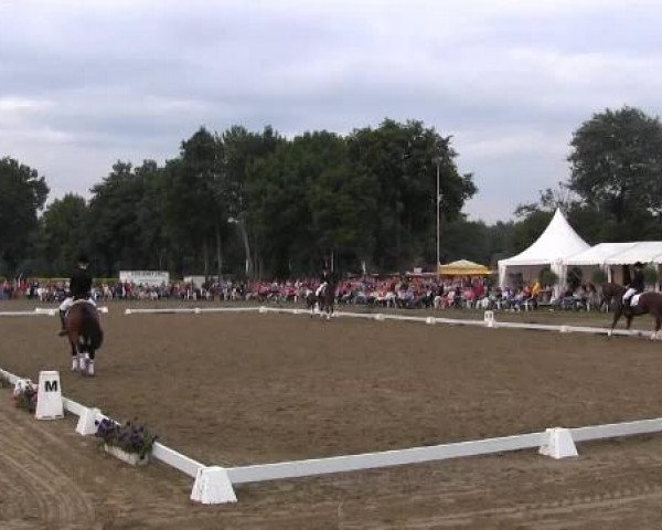 Westfalen-Woche 2014