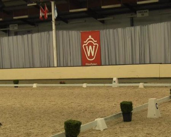 Video of Dance And Fly 5, Lucky Luke 305, D'Argentina 3