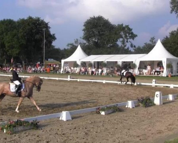 Westfalen-Woche 2014