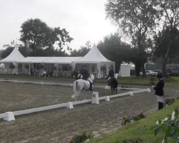 Video von Nesquick, Mondeo 34